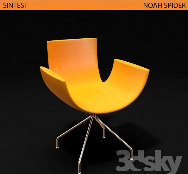 Sintesi_Noah_Spider