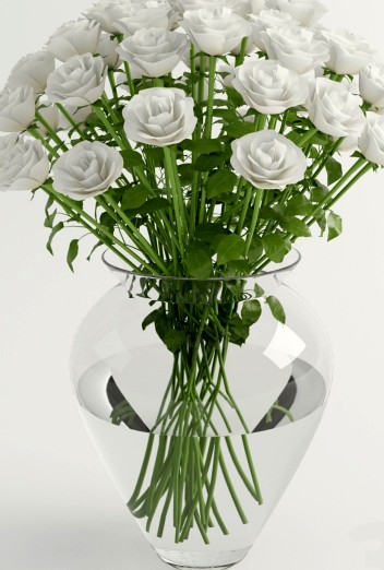 white roses - белые розы