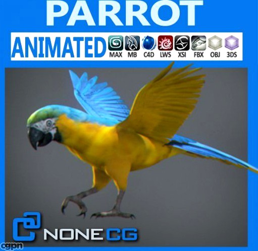 Animated Yellow Parrot3d model