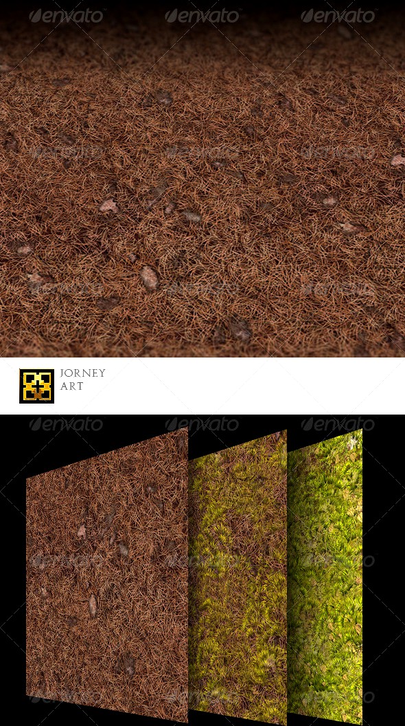 Forest Ground Texture Collection