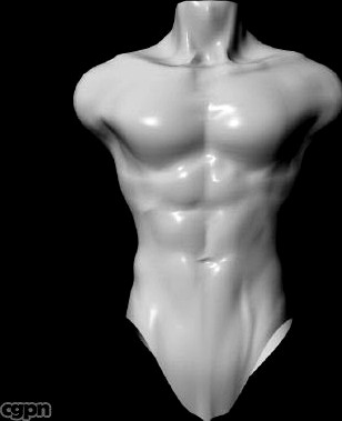 male body3d model