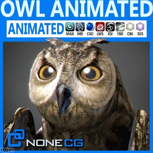 Animated Owl3d model