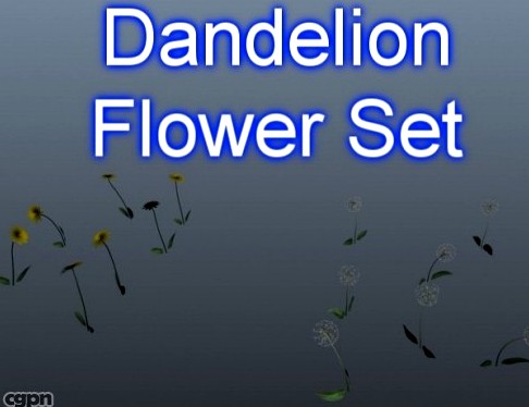 Dandelion Set 0013d model