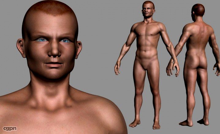 male body3d model