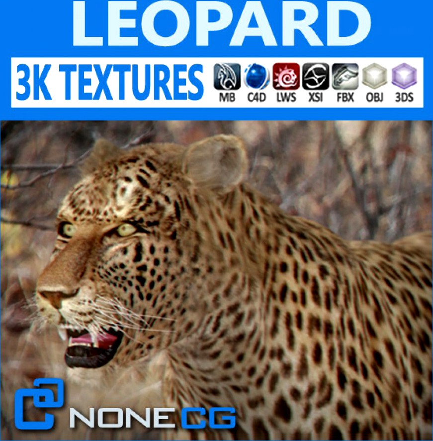 Leopard3d model