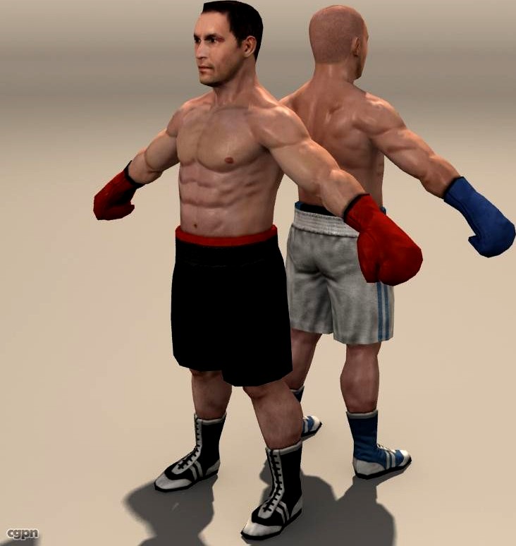 boxer 023d model