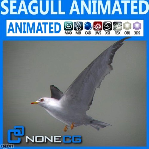 Animated Seagull3d model