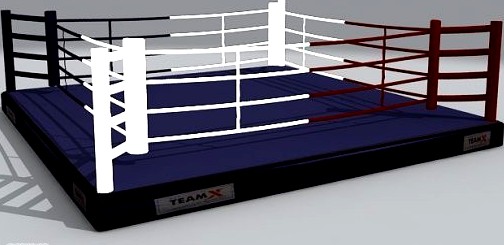 Boxing ring3d model