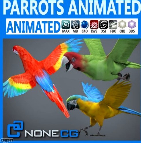 Animated Parrots Pack3d model