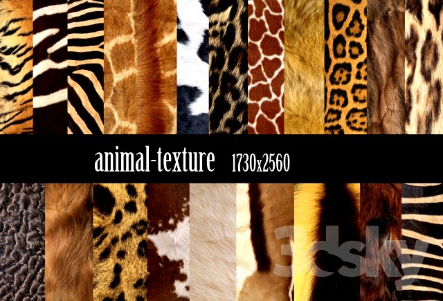 animal-texture