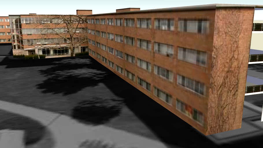 Bailey Hall
