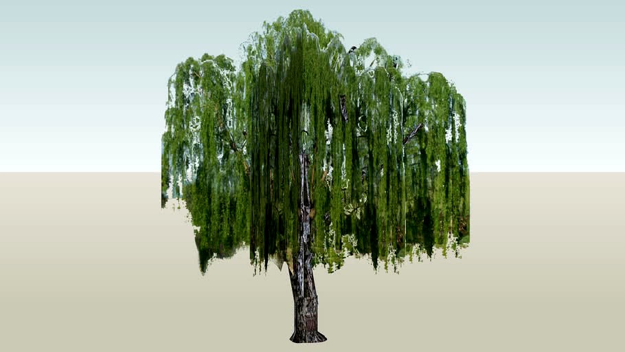 3d weeping willow tree