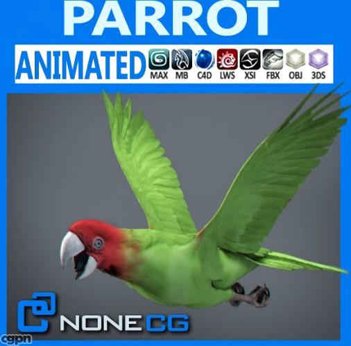 Animated Wild Parrot3d model