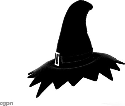 Halloween Witch Hat3d model