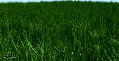 Grass pack3d model
