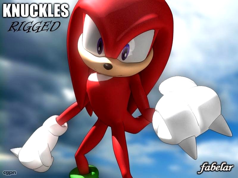 KNUCKLES RIGGED3d model