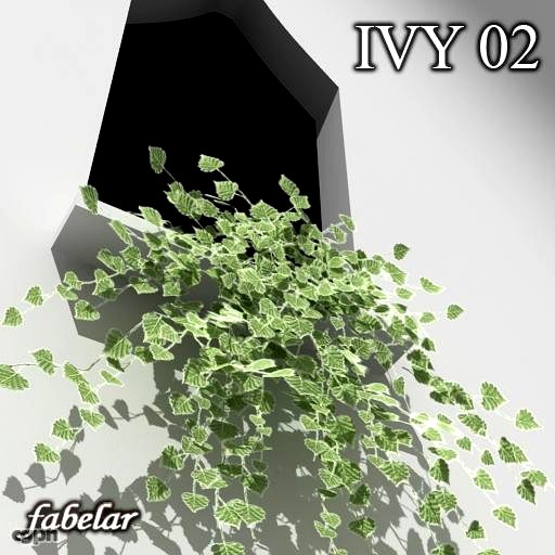 Ivy 023d model