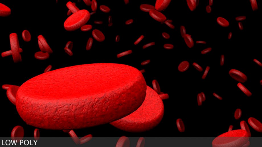 Microscopic Blood Cells3d model
