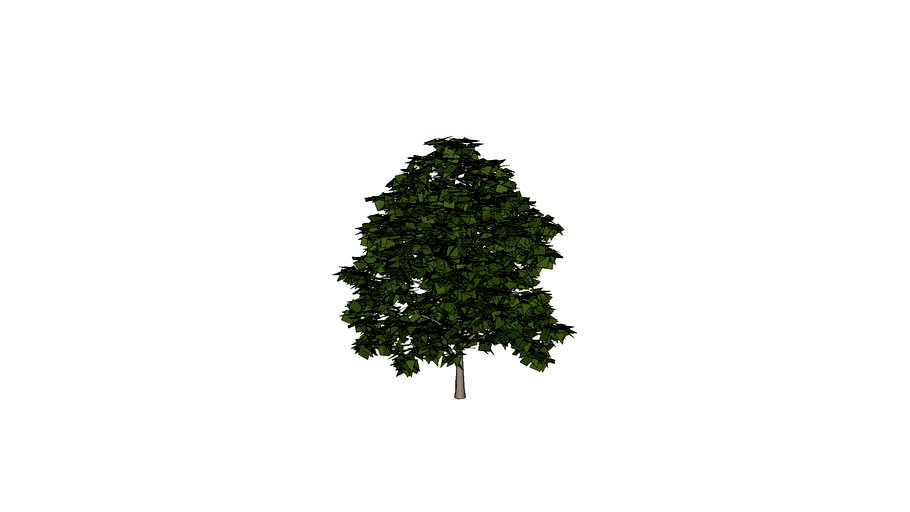 tree2