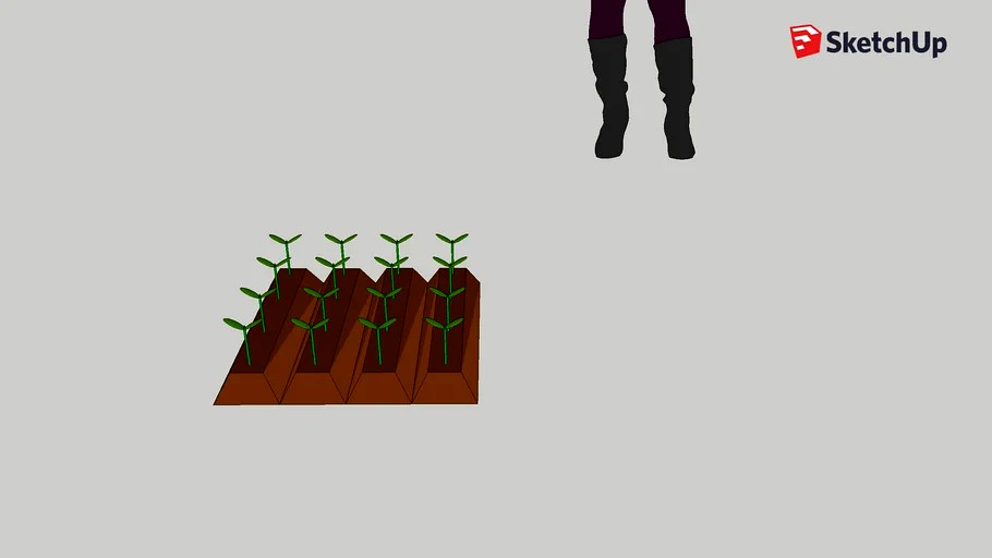 Farmland/Plant/Kitkat
