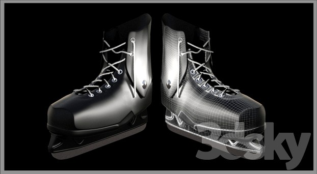 Skates Dynamo