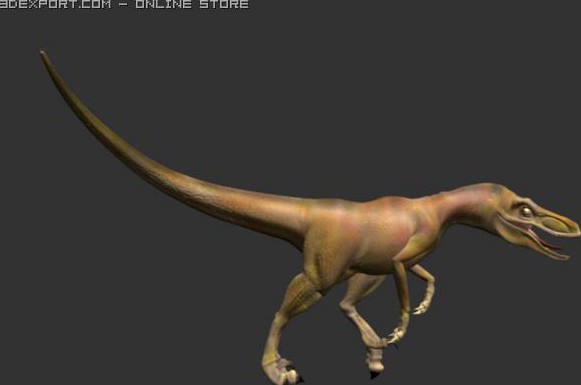 RaptorModel 3D Model