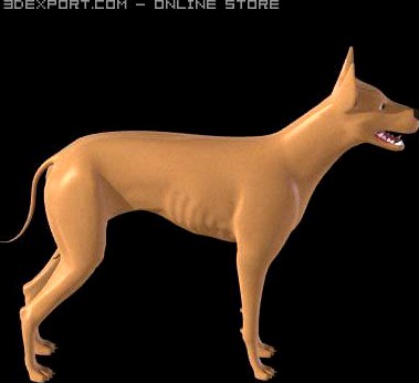 Dog 3D Model