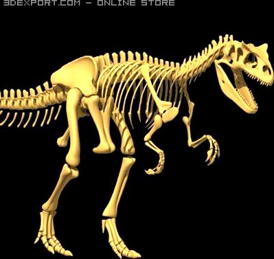 Allosaurus Dinosaur Skeleton 3D Model