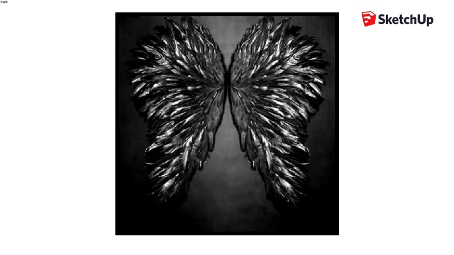 Quadro Wings-Artimage