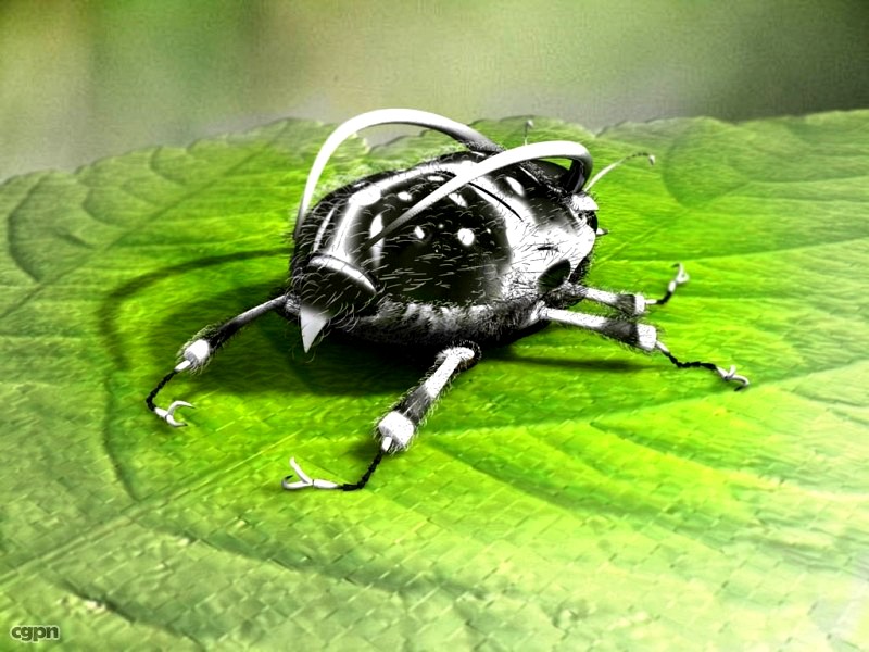 Bug3d model