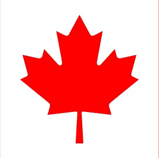 Canada flag 3D Model