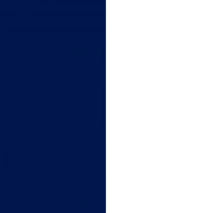 France flag 3D Model