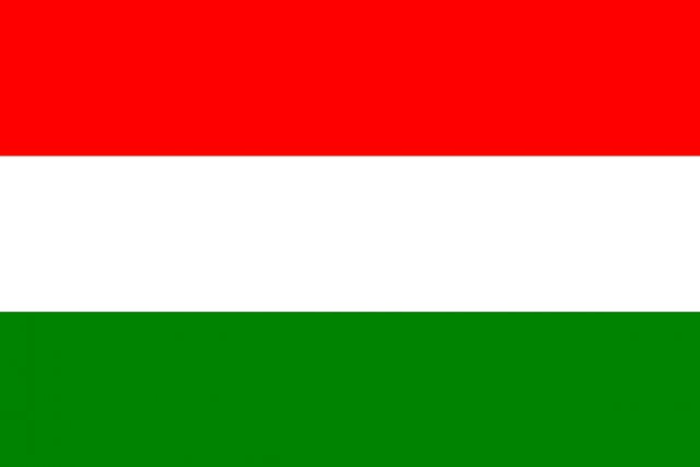 Hungary flag 3D Model
