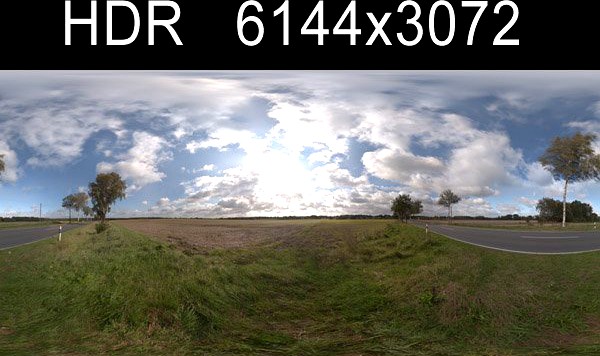 Road in field 3 HDRI Environment 3D Model