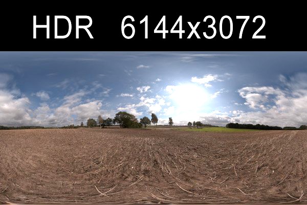 Road in field 4 HDRI Environment 3D Model