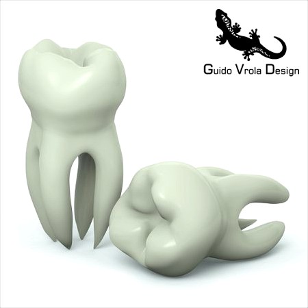 Molar Tooth 3D Model