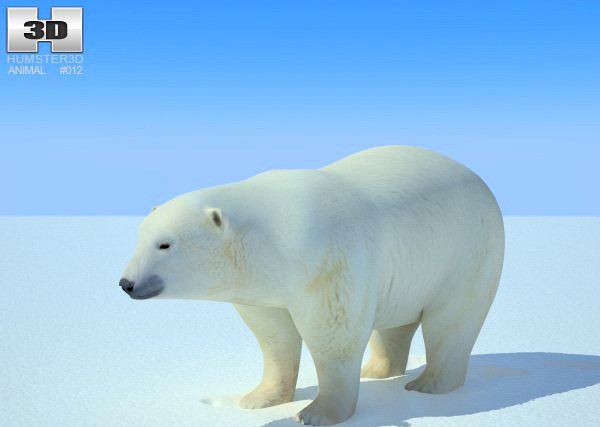 Polar Bear 3D Model