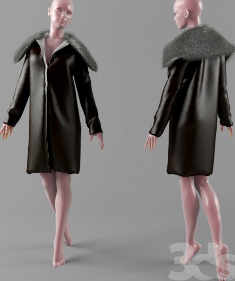 Jacket with fur collar