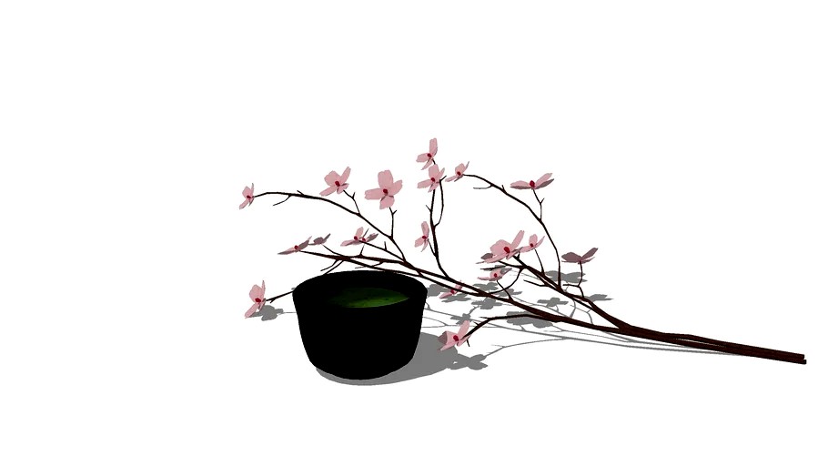 Matcha Tea The Matcha 3d Model