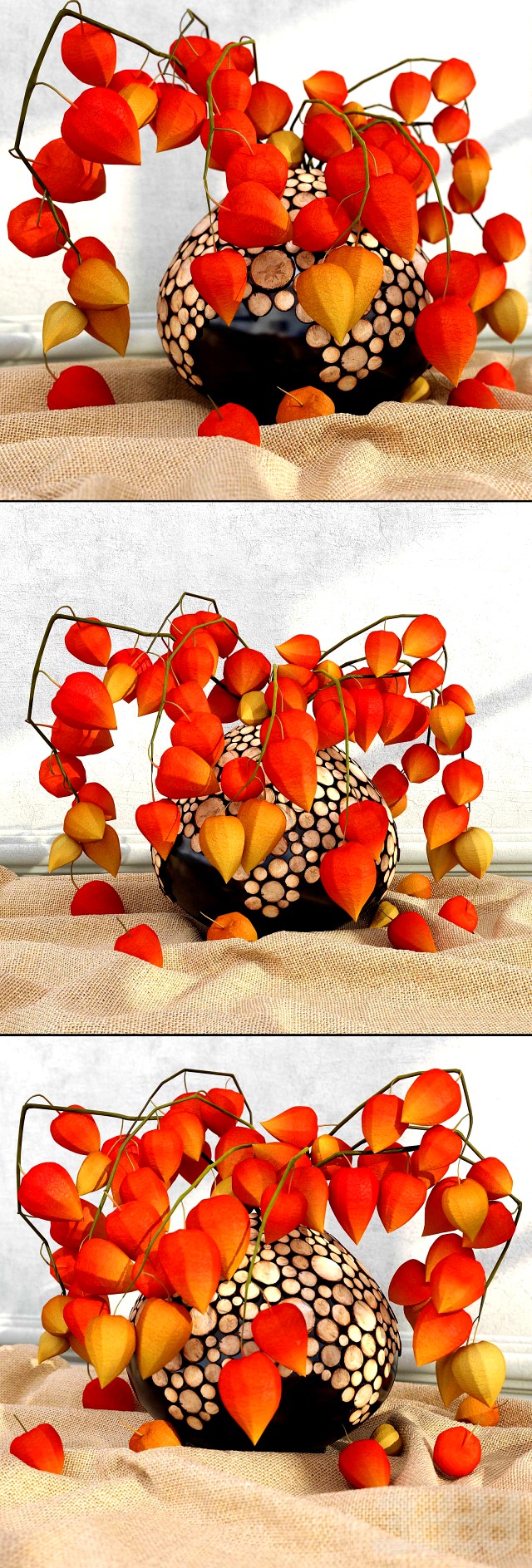 physalis_in_a_vase