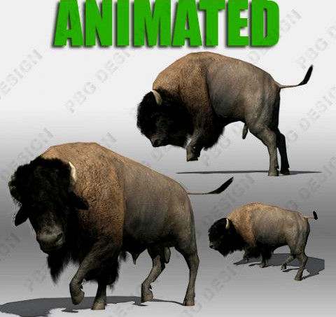 Buffalo 3D Model