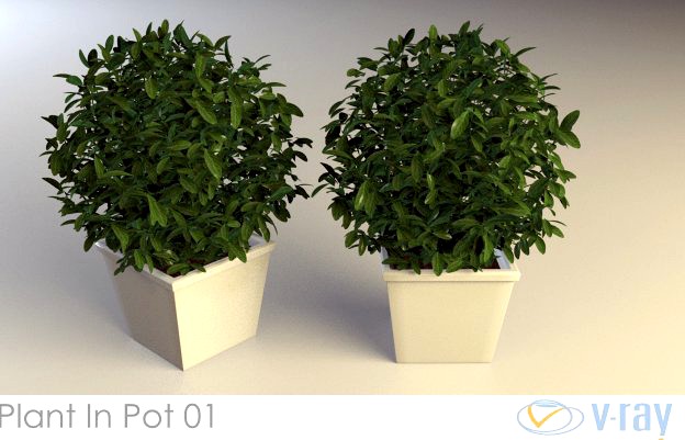 Plant In Pot 01 Vray 3D Model