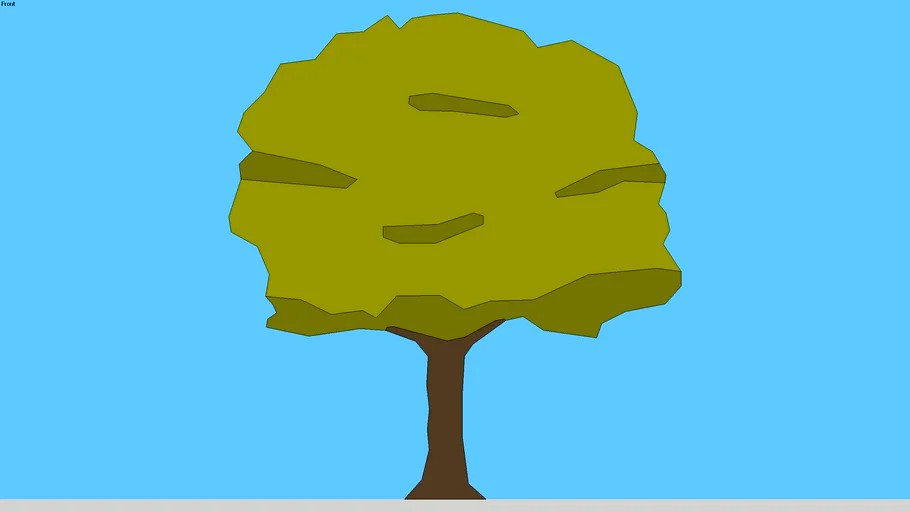 Platanus (Plane) #3