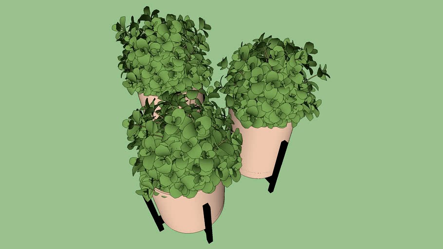 MINI CACHEPOT