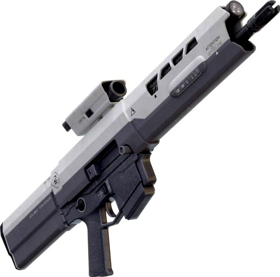Oblivion Rifle 3D Model