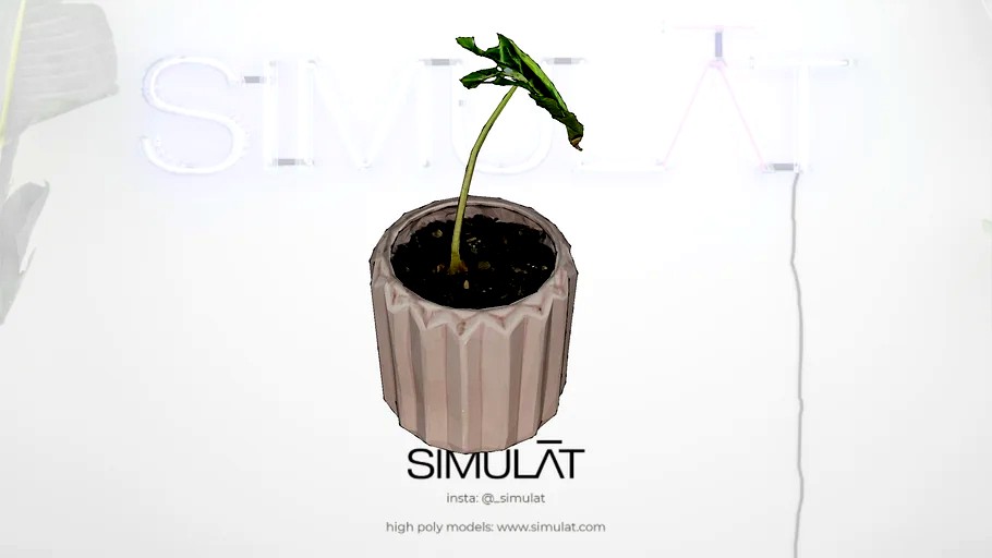 Simulat 3d scans: Pink Tesselated Pot Plant / Vase with Sprout