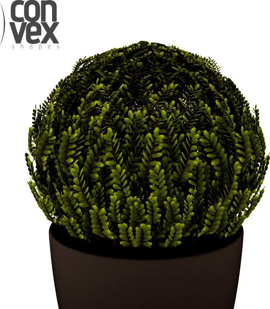 Potted Plant18 3D Model