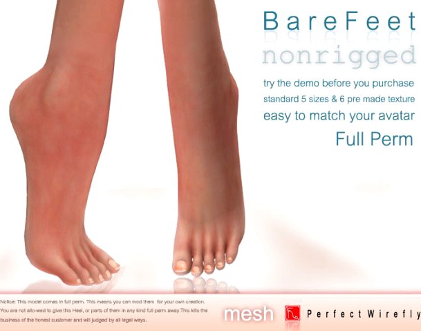 2014 bare feet 3D Model