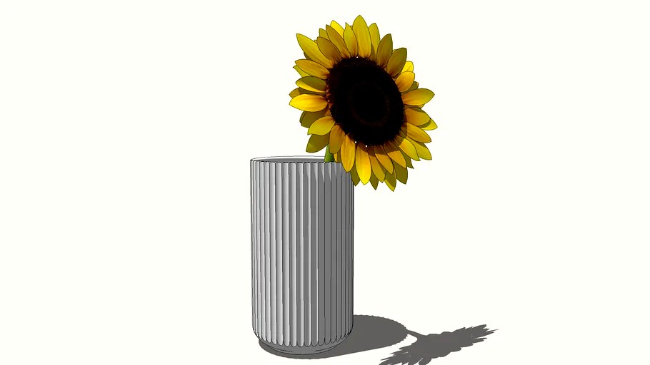 Sunflower and vase