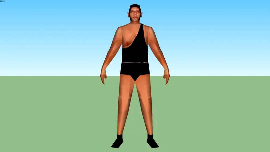 Andre The Giant(André René Roussimoff)